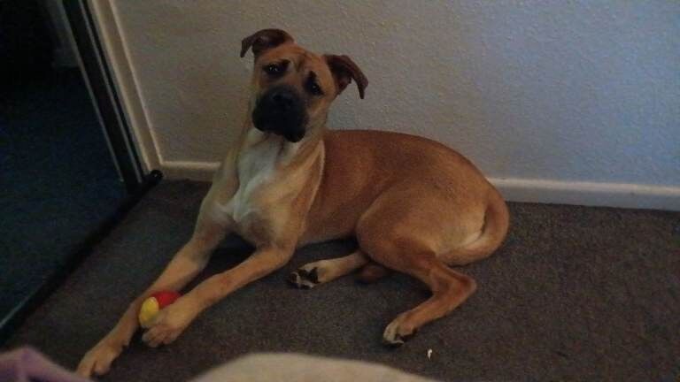 Rehome. Only message if serious.